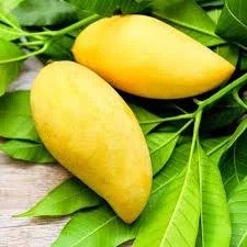 Nam Dok Mai Mango (નામ ડોક માઈ કેરી)
